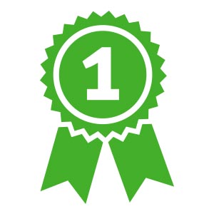 Award ribbon icon