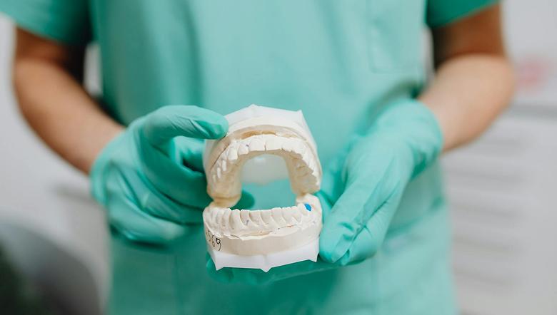 Dental professional in teal scrubs holding a plaster dental cast model of upper and lower teeth.